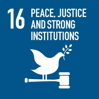 16 PEACE, JUSTICE AND STRONG INSITITUTIONS