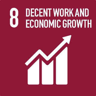 8 DECENT WORK AND ECONOMIC GROWTH